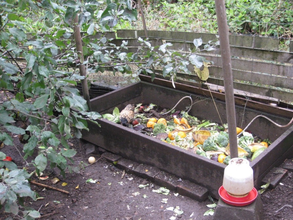 Compost Bin