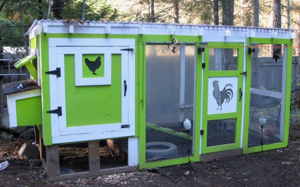 Pod Chicken Tips On Coop Design – Bitchin' Chickens