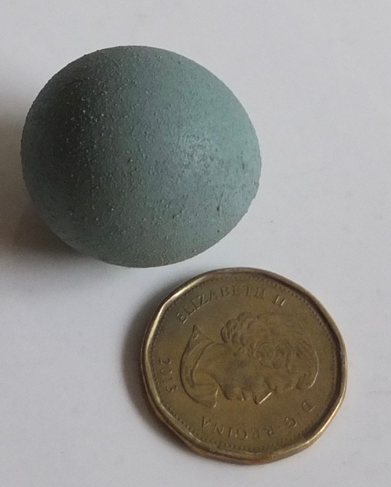 Ameraucana x Fart Egg