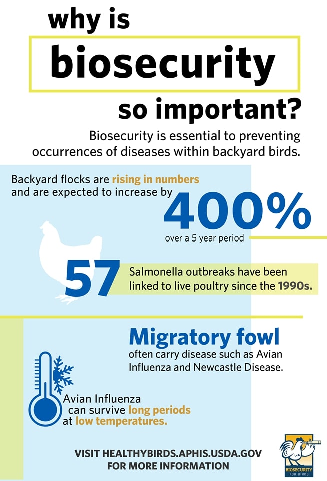 Bio Insecurity Biosecurity – Bitchin' Chickens