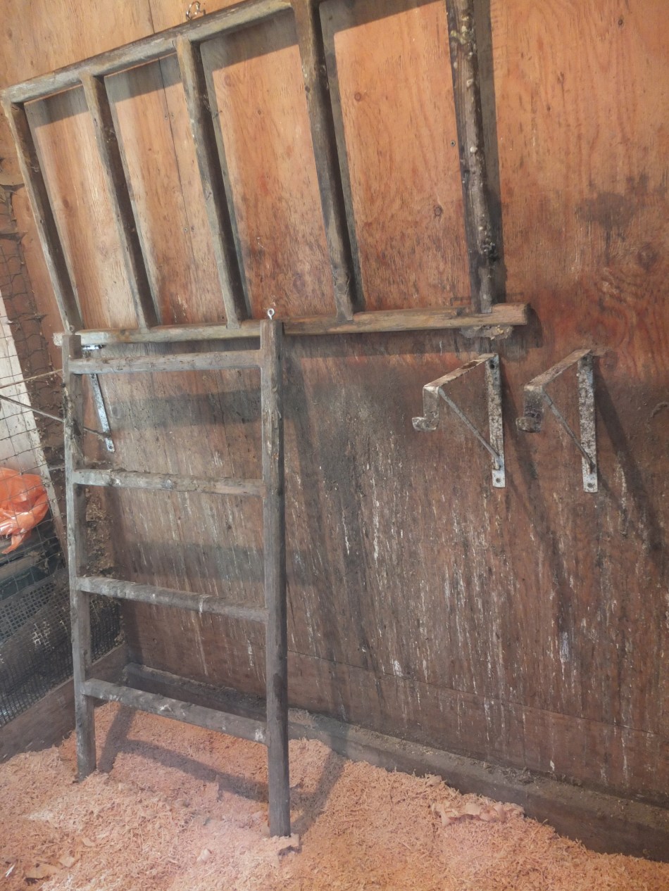 Roost Bars &amp; Ladder