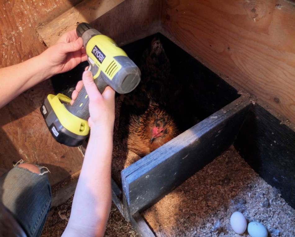 Roost Bar Makeover The Big Reveal Bitchin' Chickens