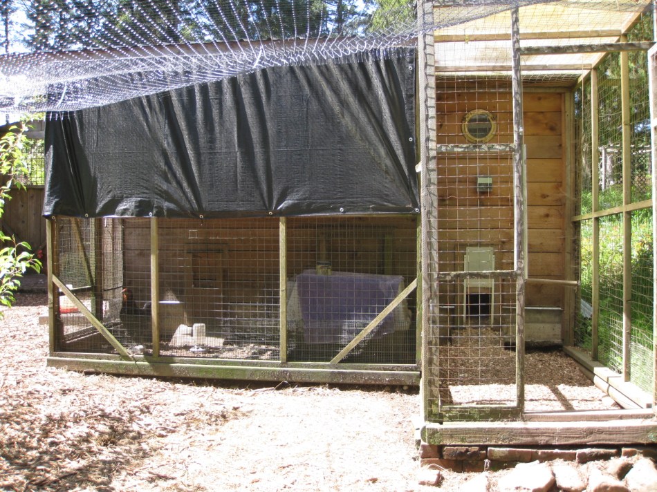 Main Coop:Broody Pen