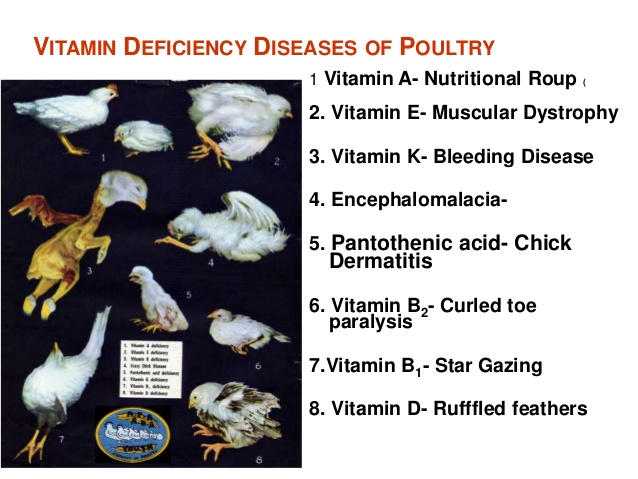 Vitamin Deficiency Diseases