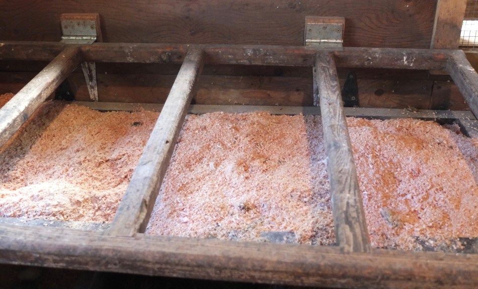 Myth Buster Are Cedar Shavings Toxic To Chickens? Bitchin' Chickens