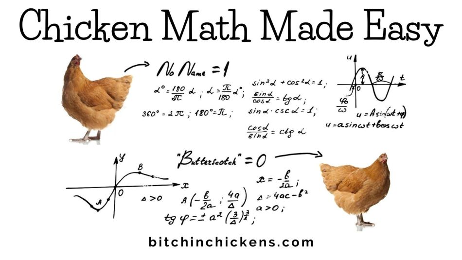 Bitchin’ Chickens Memes: 28 Chicken Math – Bitchin' Chickens