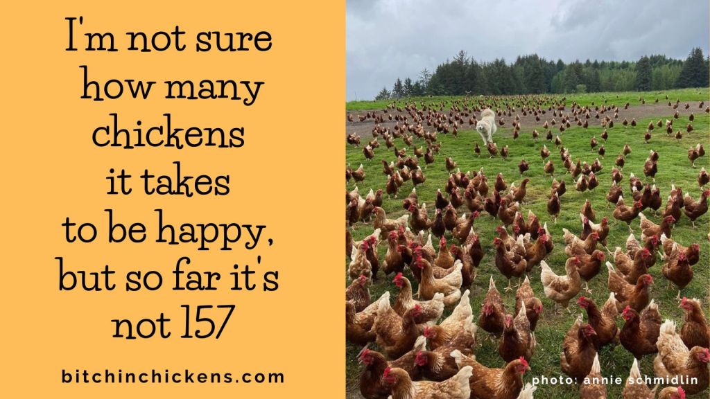 Bitchin’ Chickens Memes: 28 Chicken Math – Bitchin' Chickens