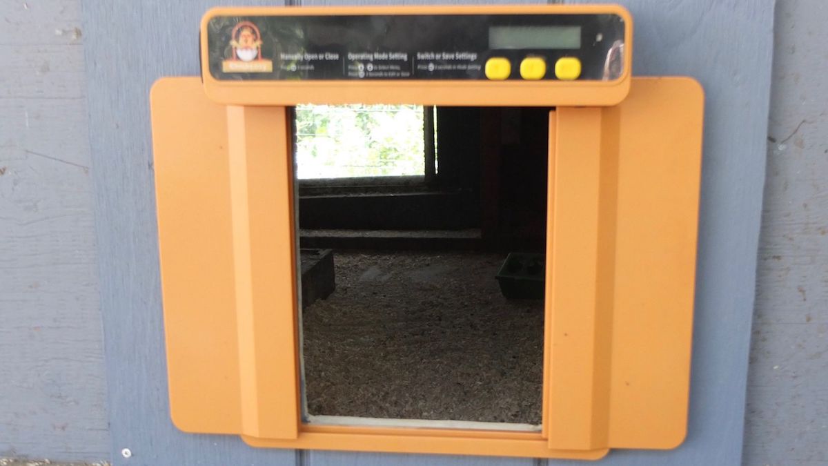chikoページ Chickcozy Automatic Coop Door: My Experience – Bitchin' Chickens
