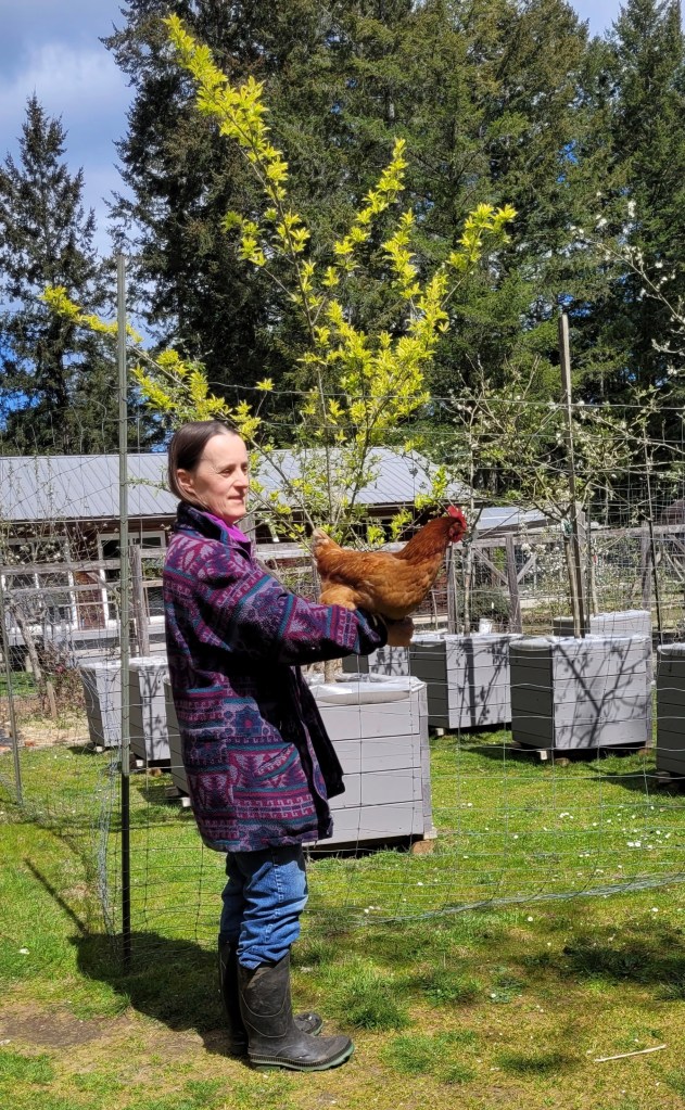 Bird Brains? Challenging Assumptions About Chicken Intelligence ...