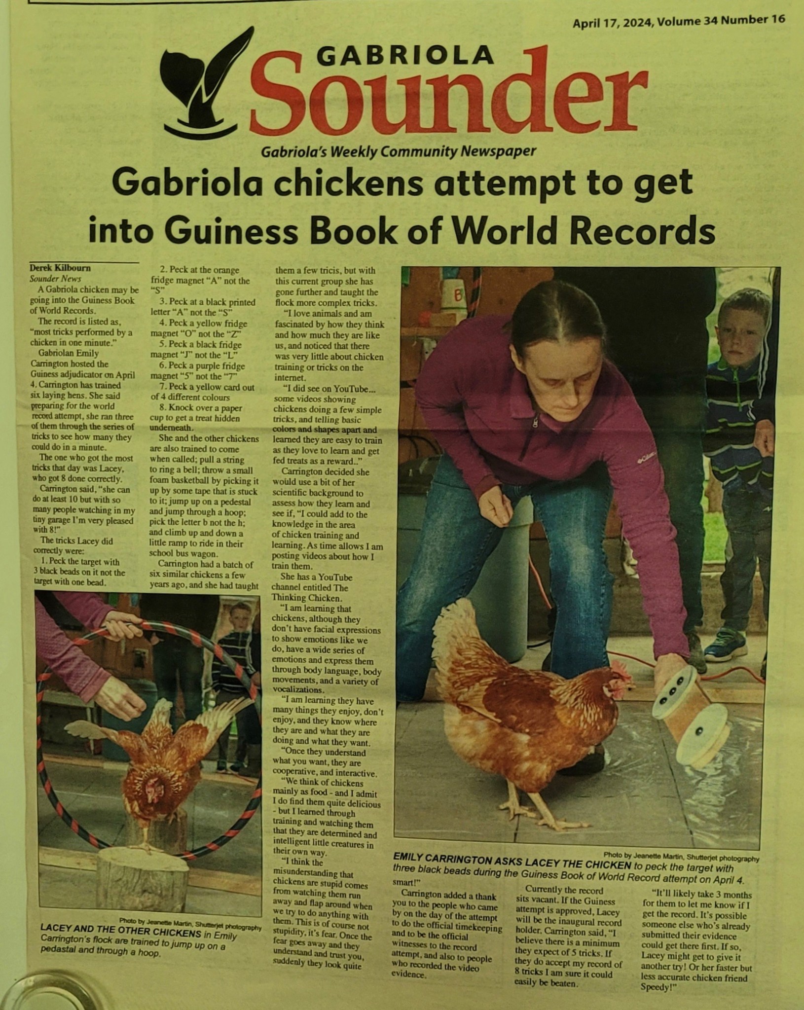 Bird Brains? Challenging Assumptions About Chicken Intelligence ...