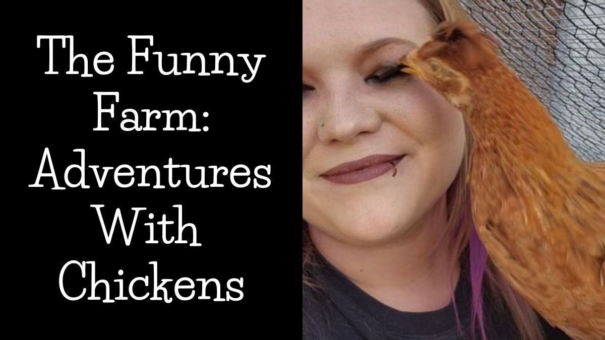 They Built a Farm So Weird, Even the Chickens Are Holding Medals!